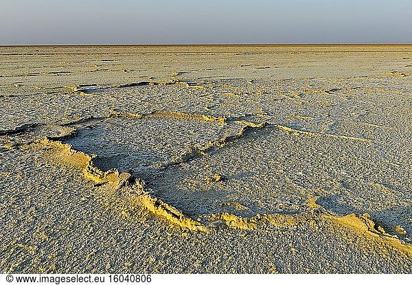 Salt crust on Lake Assale  located more than 100m below sea level  Hamadela  Danakil depression  Afar Triangle  Ethiopia.