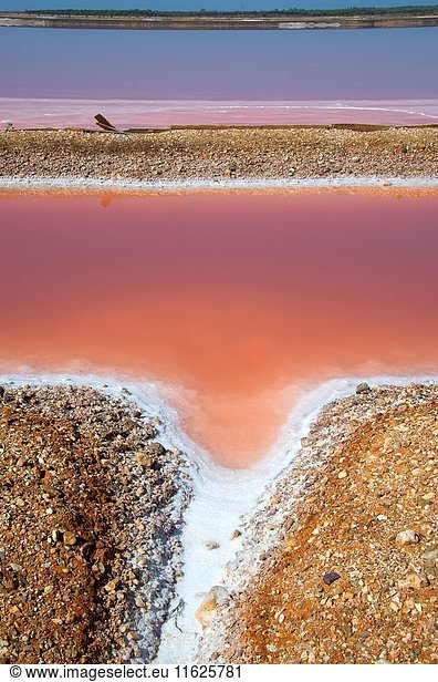 Salt evaporation ponds  salt works or salterns are artificial ponds ready to extract salts for water evaporation. The pink colour of the water is due to the presence of Halobacterium and Dunaliella. This photo was taken in Marismas del Odiel  Huelva  Andalusia  Spain.