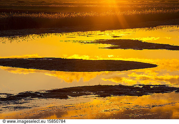 Salt marsh at sunset in Cley Next the Sea  North Norfolk  UK.