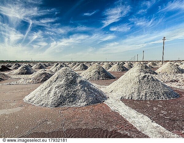 Salt mine at Sambhar Lake. Rajasthan  India  Asia