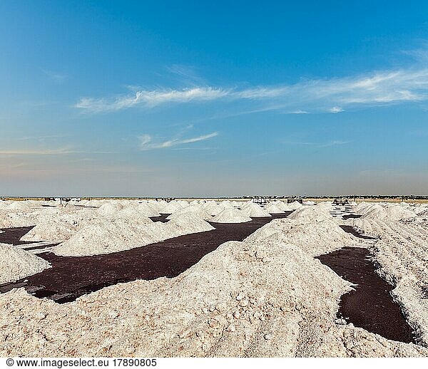 Salt mine at Sambhar Lake  Sambhar  Rajasthan  India  Asia