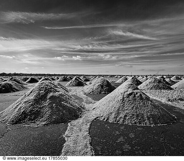 Salt mine at Sambhar Lake  Sambhar  Rajasthan  India. Black and white version