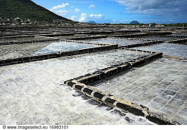 Salt pans  landscape of Tamarin  traditional salt production  Tamarin  Mauritius. Africa