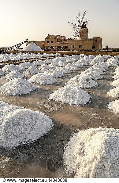 Saltworks  Saline of Trapani  windmill  nature reserve  Stagnone of Marsala  Sicily  Italy  Europe