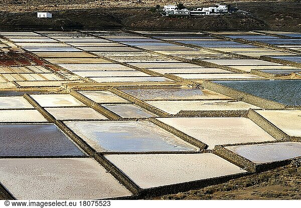Saltworks  salt production plant  Yaiza  Lanzarote  Canary Islands  Salinas de Janubio  salt  salt production  sea salt  Spain  Europe