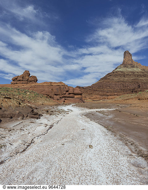 Salzablagerungen in einem ausgetrockneten Flussbett  Potash Road  Moab  Utah  USA  Nordamerika