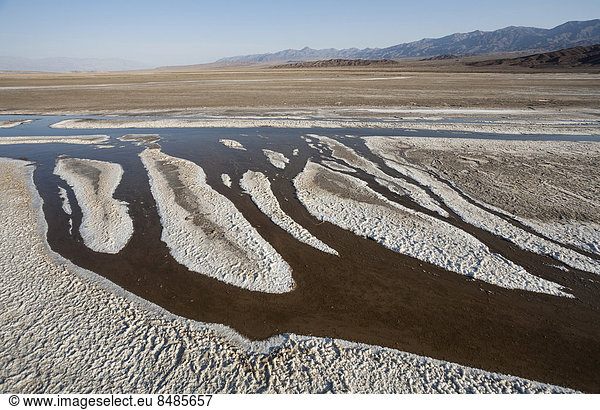 Salzwiesen  Zentralgebiet des Death Valley  Death-Valley-Nationalpark  Kalifornien  USA