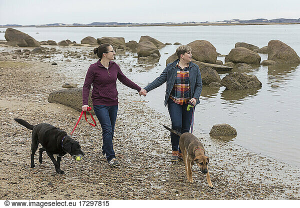 Same sex female couple holding hands walking dogs on Cape Cod beach