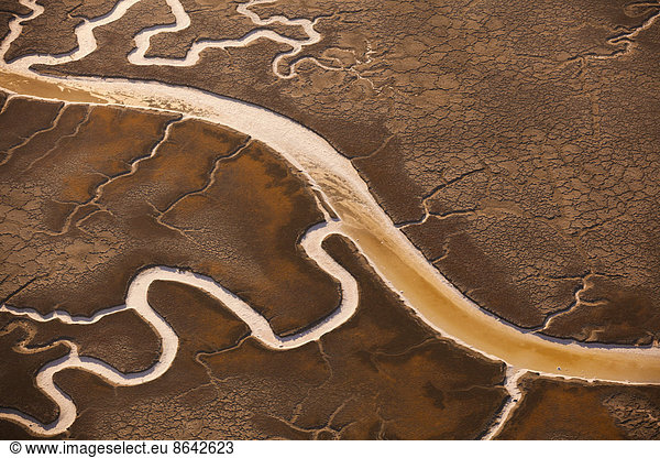San Francisco Bay salt flats with glistening water channels in California  USA