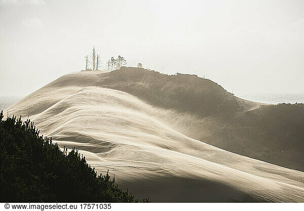 Sand blowing over the dunes in coastal Oregon