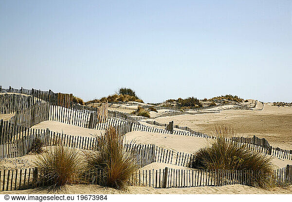 Sand dunes at l'Espiguette beach in the western Camargue coast  Provence  France.