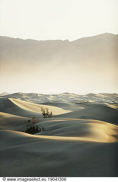 Sand dunes in Death Valley National Park  California.