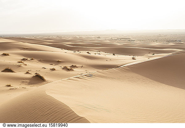 Sand dunes in Sahara Desert  Merzouga  Morocco