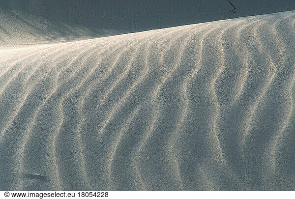 Sand dunes  sand structures  De Slufter  Texel  Netherlands  Sanddünen  Sandstrukturen (Ausschnitt) (Detail) (Europa) (Landschaften) (landscapes) (Querformat) (horizontal)  Niederlande  Europa