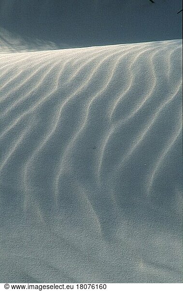 Sand dunes  sand structures  De Slufter  Texel  Netherlands  Sanddünen  Sandstrukturen (Sanddünen) (Ausschnitt) (Detail) (Europa) (Landschaften) (landscapes) (vertical)  Niederlande  Europa