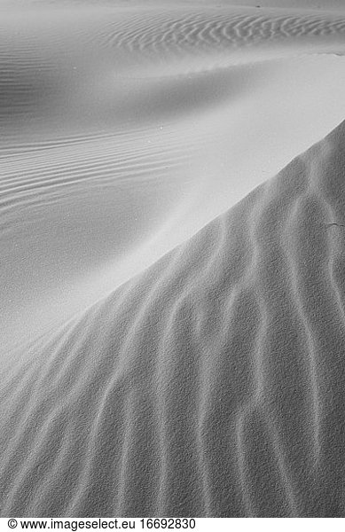 Sand dunes with ripples in black and white