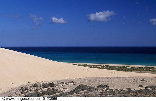Sanddüne bei den Playas de Sotavento  Fuerteventura  Kanarische Inseln  Spanien  Europa