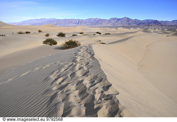 Sanddüne im Death Valley  Nevada  USA  Nordamerika