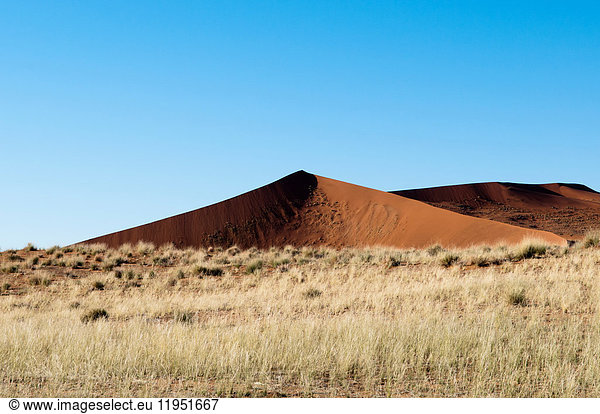 Sanddüne  Namib Naukluft Park  Namib Wüste  Namibia