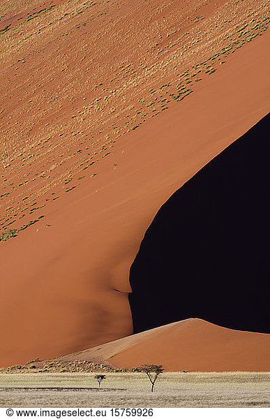 Sanddüne  Sossusvlei  Namib Naukluft Park  Namib Wüste  Namibia