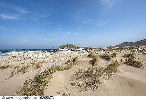 Sanddünen am Strand  Playa de Los Genoveses  Nationalpark Cabo de Gata-Nijar  Almería  Spanien  Europa