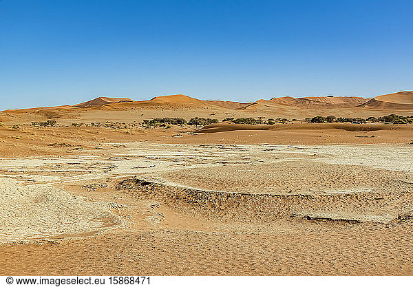 Sanddünen bei Deadvlei  Namib-Wüste  Namib-Naukluft-Nationalpark; Namibia