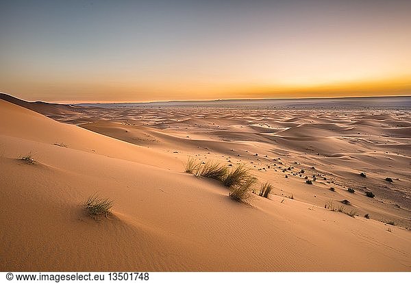 Sanddünen bei Sonnenaufgang  Erg Chebbi  Merzouga  Sahara  Marokko  Afrika