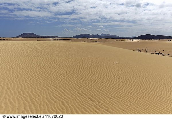 Sanddünen im Wanderdünengebiet El Jable  Las Dunas de Corralejo  Parque Natural de Corralejo  Fuerteventura  Kanarische Inseln  Spanien  Europa