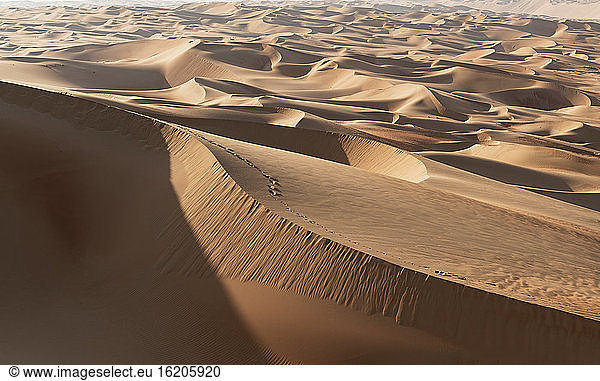 Sanddünen in der Wüste Empty Quarter  zwischen Saudi-Arabien und Abu Dhabi  VAE