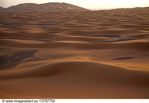 Sanddünen  Merzouga  Wüste Sahara  Marokko  Nordafrika