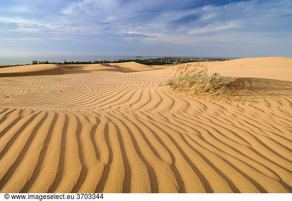 Sanddünen und Strukturen bei Mui Ne  Rote Sanddünen  Red Sand Dunes  Vietnam Asien