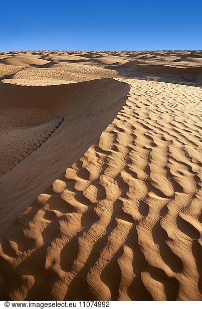 Sanddünen von Grand Erg Oriental bei der Oase Ksar Ghilane Sahara Tunesien Afrika