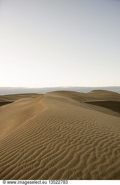 Sanddünen von Maspalomas  Großkanarische Inseln  Kanarische Inseln  Spanien  Europa