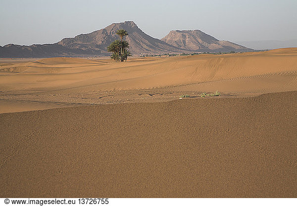 Sanddünen  Wüste Sahara Zagora  Marokko  Nordafrika