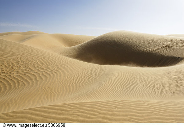 Sanddünen zwischen Oase Dakhla und Oase Kharga  Libysche Wüste  Ägypten  Afrika