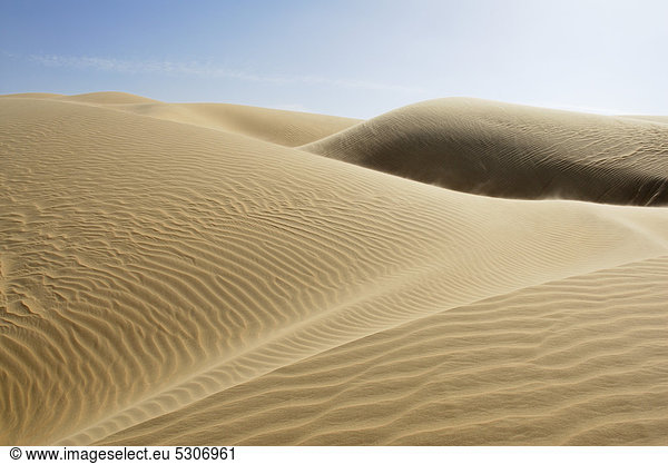 Sanddünen zwischen Oase Dakhla und Oase Kharga  Libysche Wüste  Ägypten  Afrika