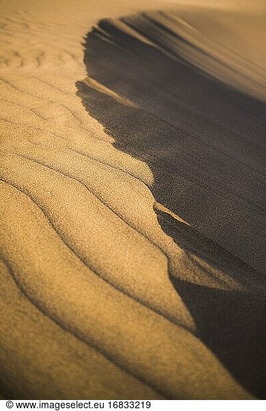 Sanddünenmuster in der Wüste  Huacachina  Region Ica  Peru