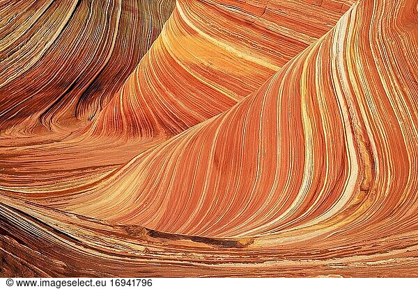 Sandstein Detail  Coyote Buttes North  Sandstein Gebiet  Arizona  USA  Nordamerika