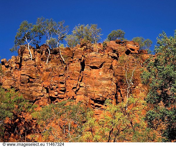 Sandstone cliff  Boodjamulla  Lawn Hill  National Park  Queensland  Australia. (Photo by: Auscape/UIG)