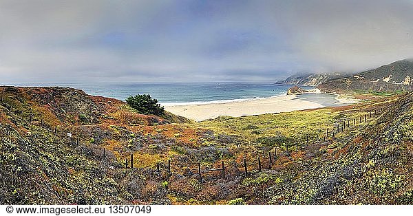 Sandstrand an der kalifornischen Pazifikküste  nahe Point Sur  Kalifornien  Vereinigte Staaten  Nordamerika