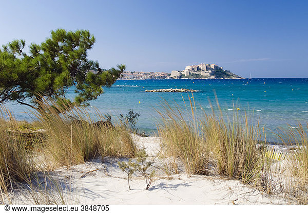 Sandstrand mit Blick auf Zitadelle von Calvi  Balagne  Insel Korsika  Frankreich  Europa