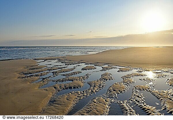 Sandstrand mit Rippelmuster,  Spiekeroog,  Ostfriesische Insel,  Ostfriesland,  Niedersachsen,  Deutschland,  Europa