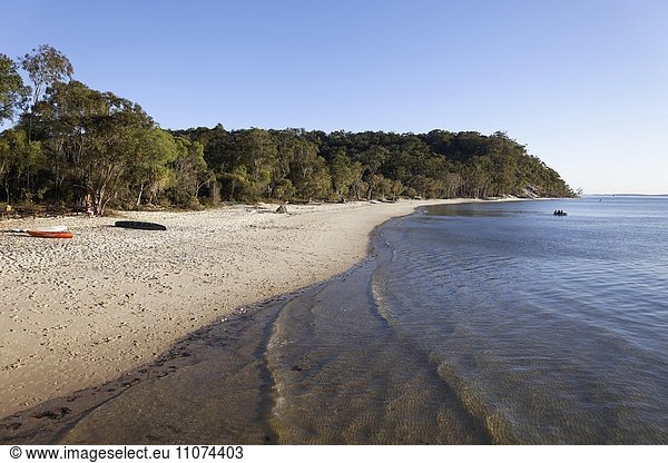 Sandstrand UNESCO Weltnaturerbe Fraser Island Great Sandy National Park Queensland Australien Ozeanien
