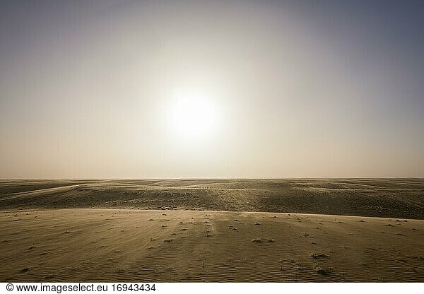 Sandverwehungen im Gegenlicht  Wüste Sahara  Norden des Tschad