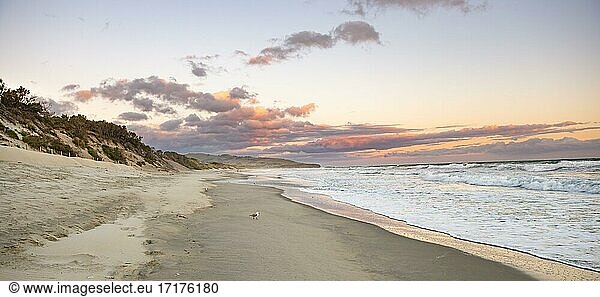 Sandy beach beach at sunset  Saint Clair Beach  Dunedin  Otago Peninsula  Otago  South Island  New Zealand  Oceania