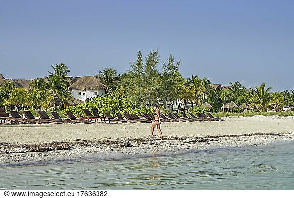 Sandy beach Beach  Beach Loungers  Isla Holbox  Quintana Roo  Mexico  Central America