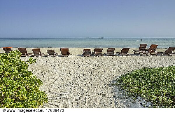 Sandy beach Beach  Beach Loungers  Isla Holbox  Quintana Roo  Mexico  Central America