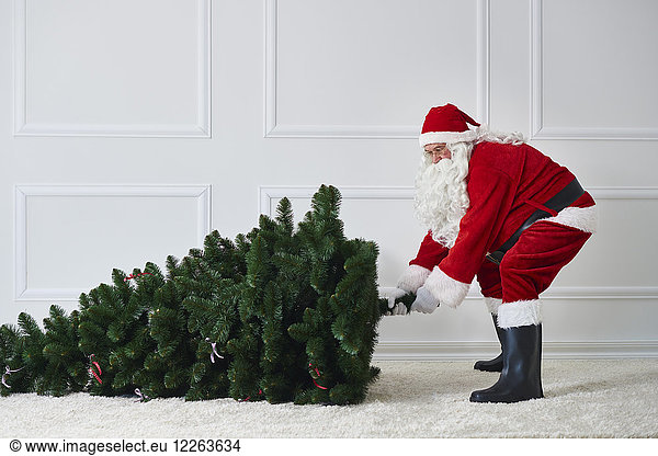 Santa Claus pulling Christmas tree
