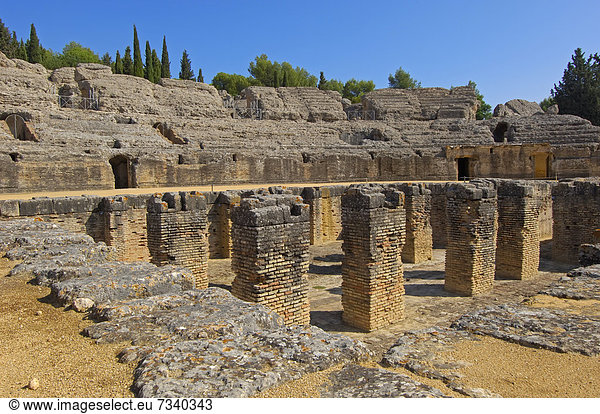 Santiponce  Italica  römische Ruinen von Italica  Sevilla  Andalusien  Spanien  Europa