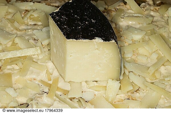 Sardischer Pecorino  Käse auf einer Lasagne gehobelt